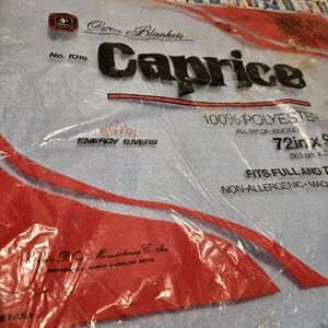 Caprice Blanket Vintage Owen  Sz 72X90 Baby Blue Trim Twin Full Thermal Retro